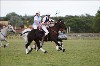 UKPA NC SAT_2937